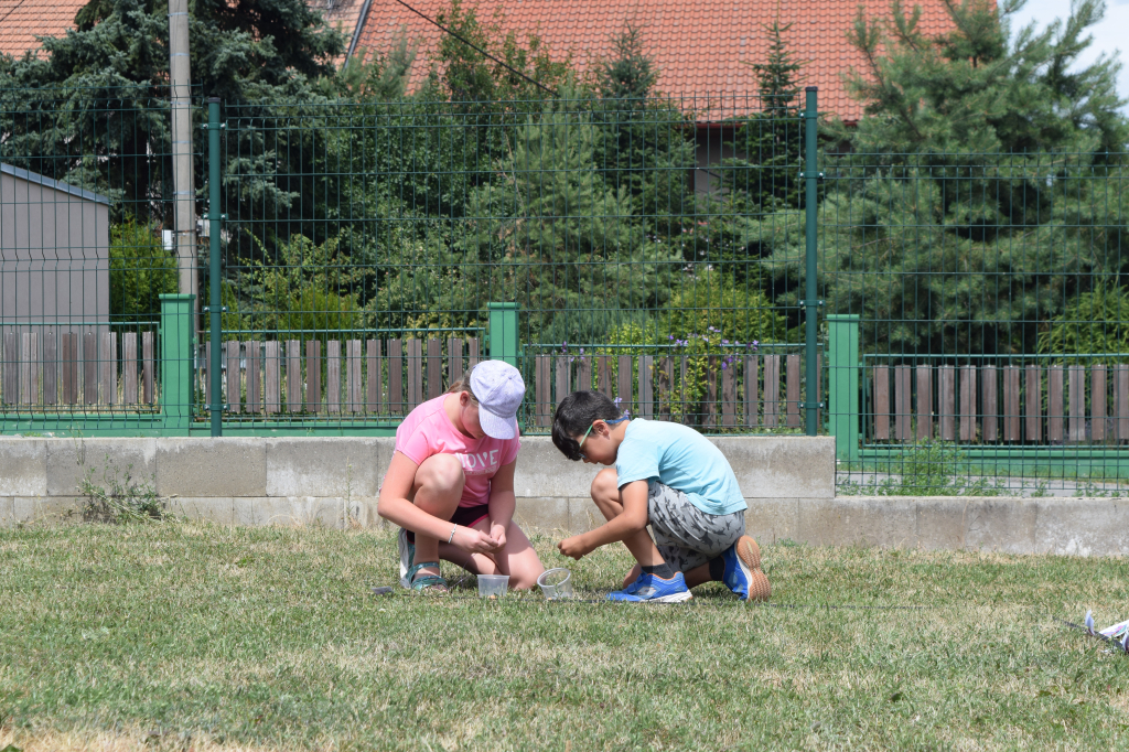DSC_0206.JPG
