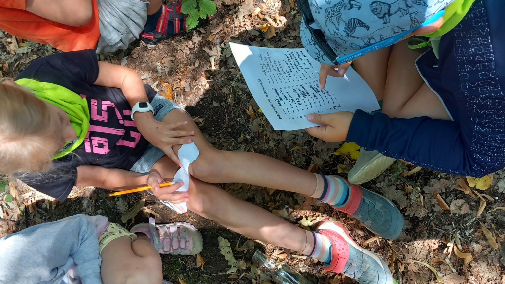 20260721_100714.jpg