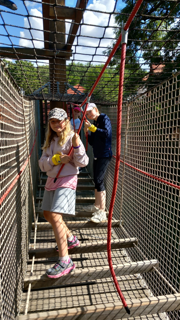 20260722_095734.jpg