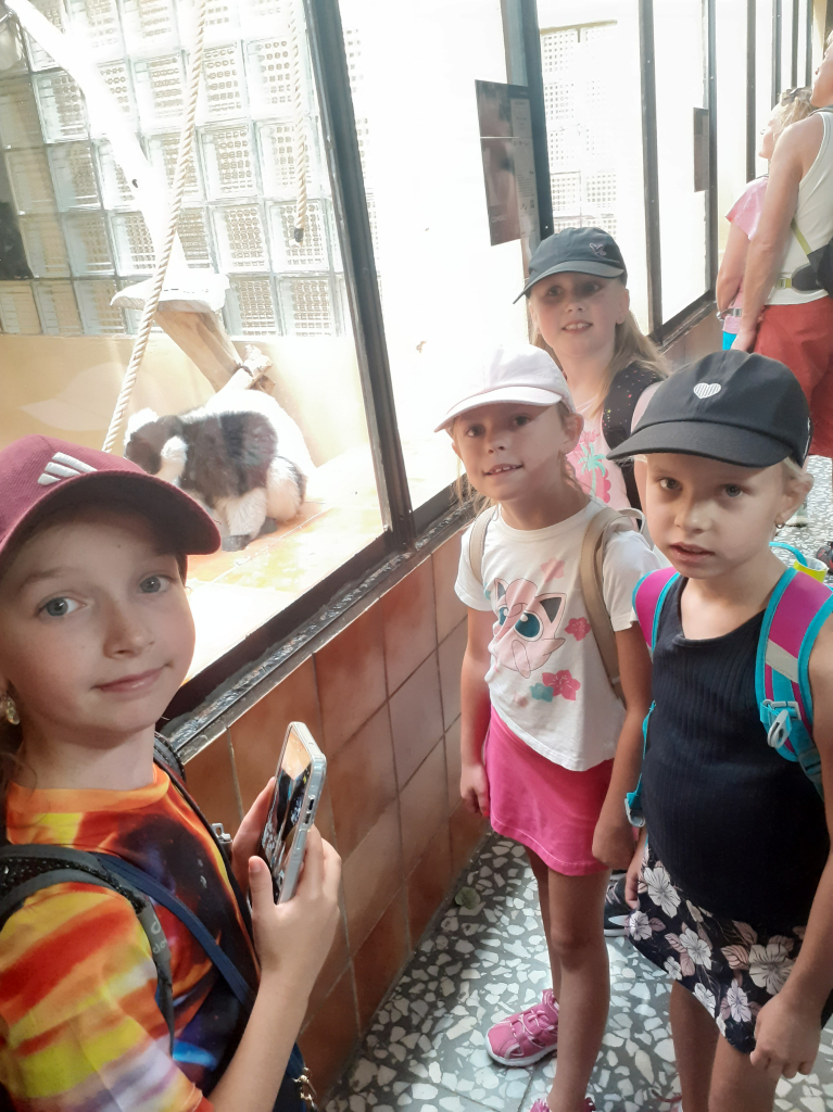 20260729_102959.jpg