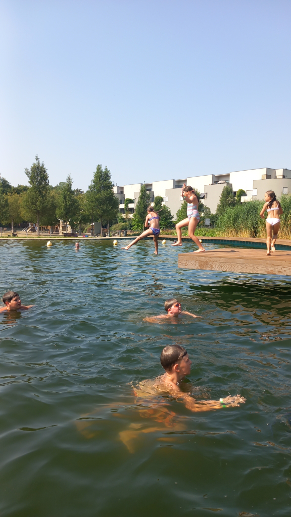 20260805_103412.jpg