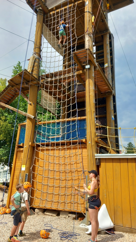 20260806_112631.jpg