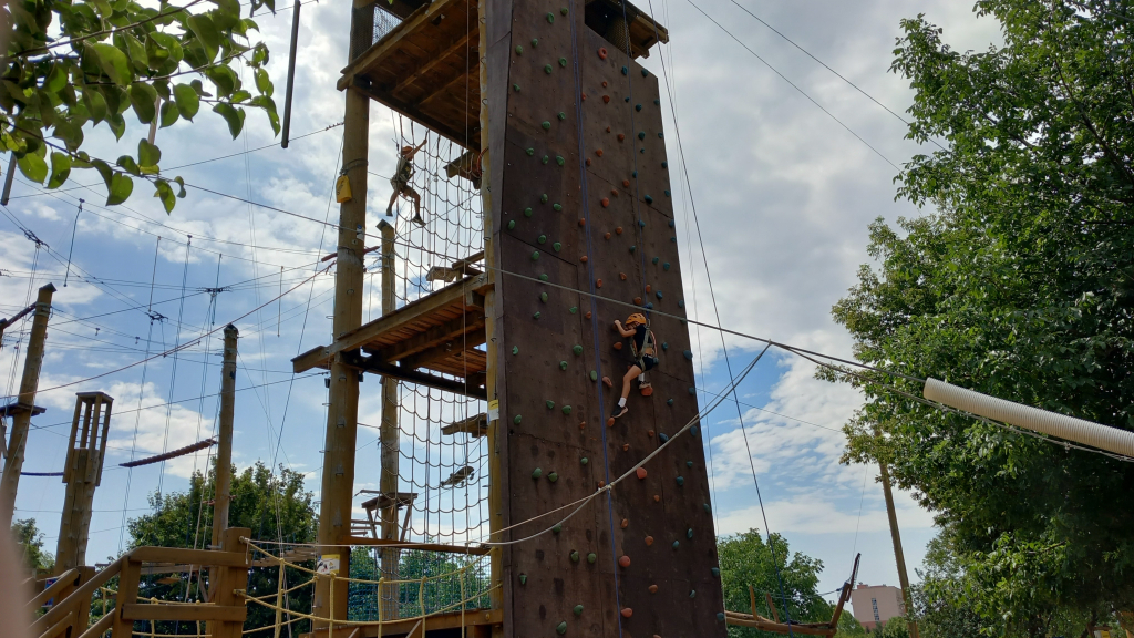 20260806_112956.jpg