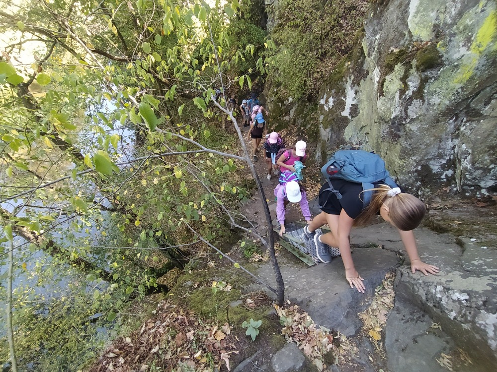 IMG_20260813_115151.jpg