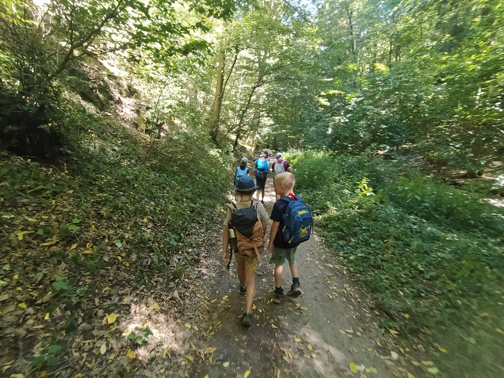 IMG_20260813_120554.jpg