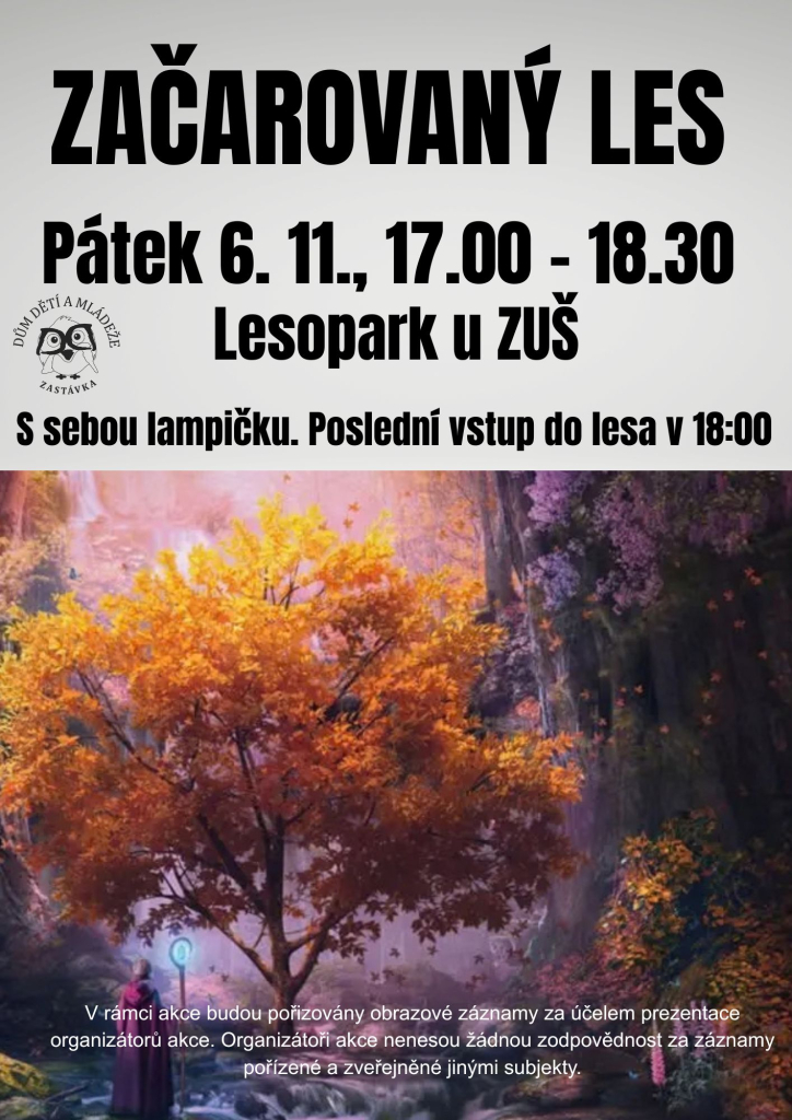 Začarovaný les