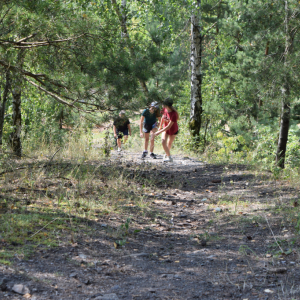 DSC_0127.JPG