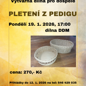 VV dospělí Pletení z pedigu