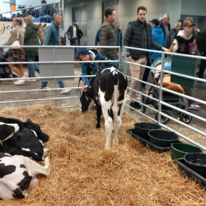 Ochránci přírody Národní výstava hospodářských zvířat