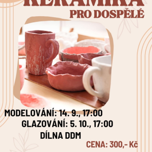 VV dospělí