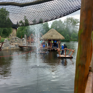20250709_094142.jpg