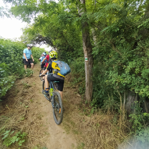 IMG_20250715_105713.jpg