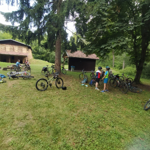 IMG_20250715_100216.jpg