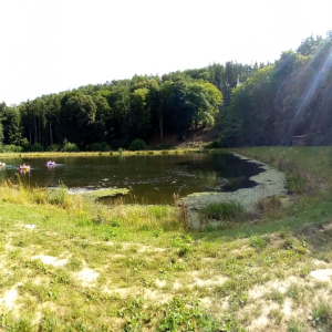 20250731_095935.jpg
