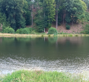 20250731_102751.jpg